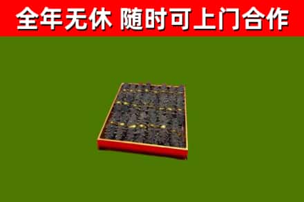 烟台市回收海参